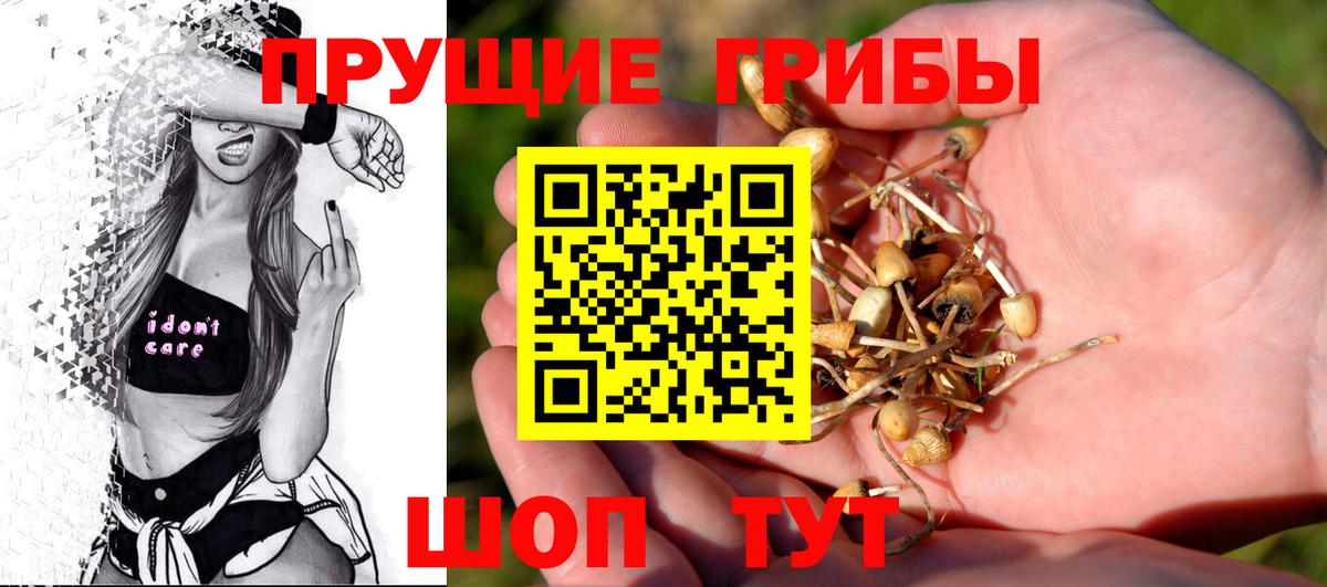 Лесозаводск  Галлюциногенные грибы прущие грибы  Галлюциногенные грибы Psilocybine cubensis  Вход с VPN 