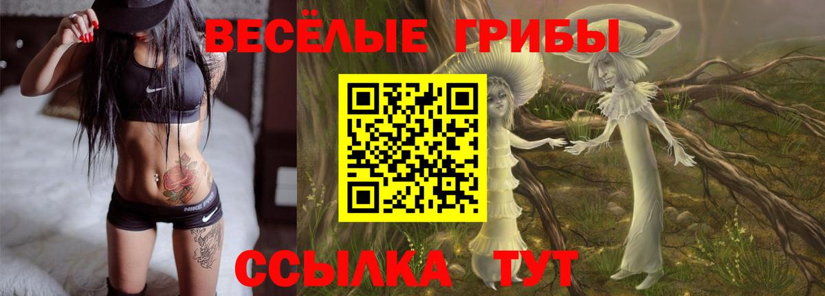 Галлюциногенные грибы Magic Shrooms Лесозаводск